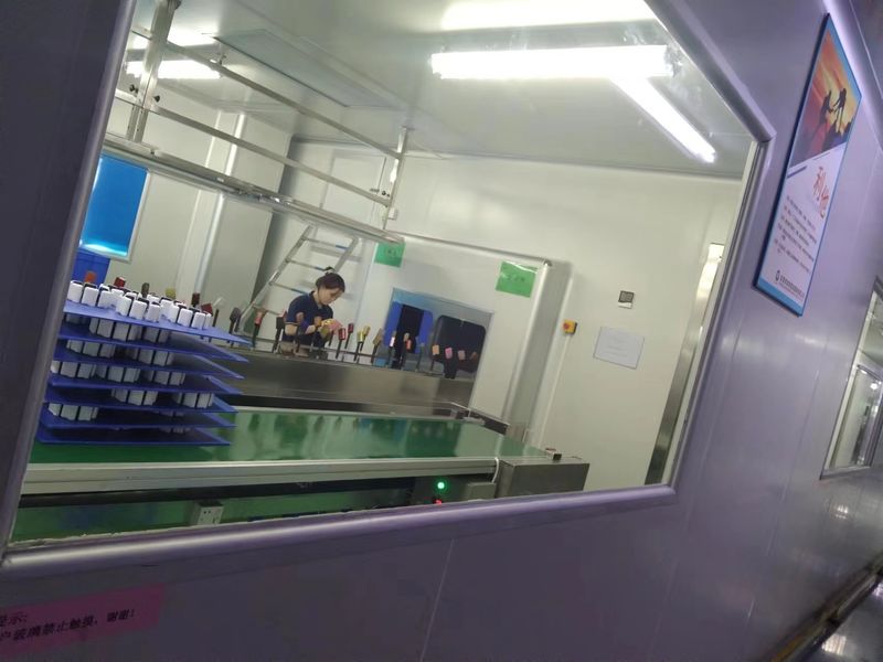 Dongguan JoonPang Plastic Mold Co., Ltd. línea de producción del fabricante