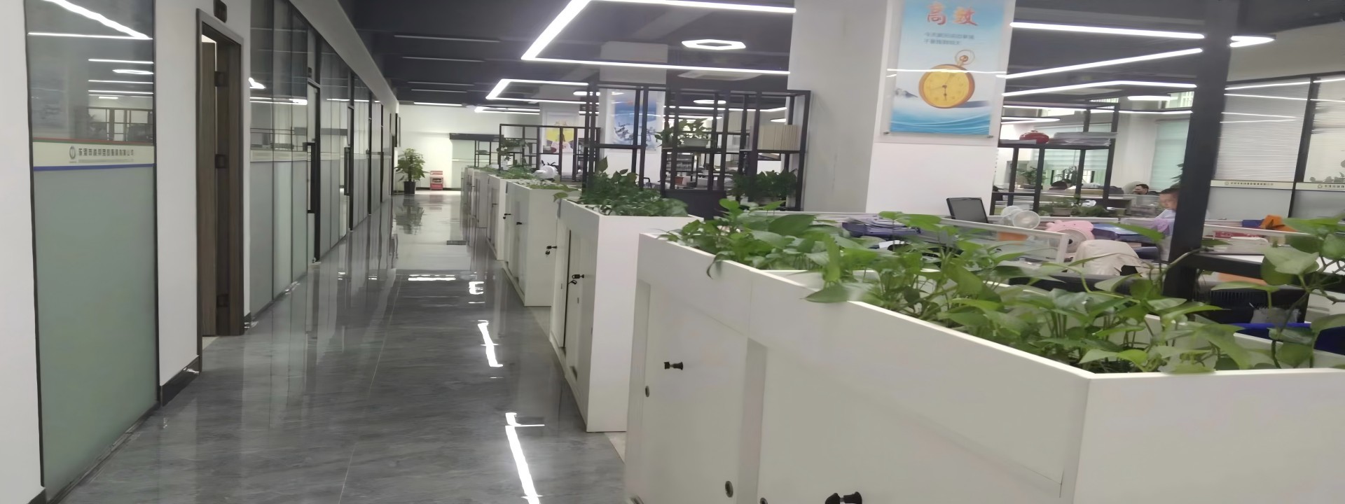 calidad Piezas plásticas del moldeo a presión fábrica